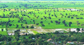 Circuit individuel au Cambodge 